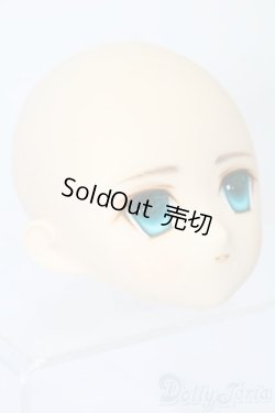 画像3: PARABOX/PB-6006Bヘッドのみ S-25-11-30-428-TO-ZS