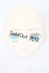 PARABOX/PB-6006Bヘッドのみ S-25-11-30-429-TO-ZS