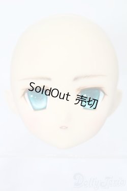 画像1: PARABOX/PB-6006Bヘッドのみ S-25-11-30-429-TO-ZS