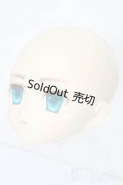 画像2: PARABOX/PB-6006Bヘッドのみ S-25-11-30-429-TO-ZS