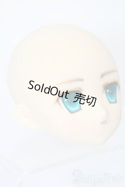 画像3: PARABOX/PB-6006Bヘッドのみ S-25-11-30-429-TO-ZS