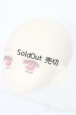 画像2: PARABOX/PB-6006Bヘッドのみ S-25-11-30-444-TO-ZS