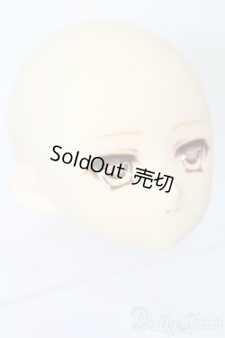 画像3: PARABOX/PB-6006Bヘッドのみ S-26-01-25-383-TO-ZS