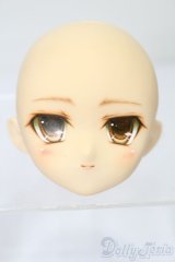 PARABOX/PB-6006Bヘッドのみ S-25-09-28-182-TO-ZS