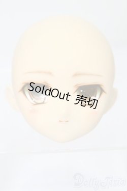 画像1: PARABOX/PB-6006Bヘッドのみ S-25-11-30-441-TO-ZS