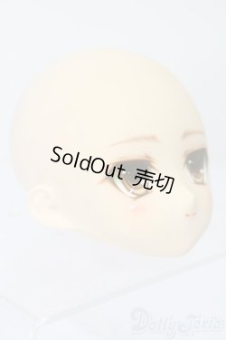 画像3: PARABOX/PB-6006Bヘッドのみ S-25-11-30-441-TO-ZS