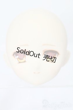 画像1: PARABOX/PB-6006Bヘッドのみ S-25-11-30-431-TO-ZS