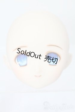 画像1: PARABOX/PB-6006Bヘッドのみ S-25-11-30-443-TO-ZS