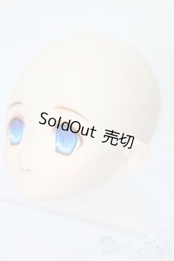 画像2: PARABOX/PB-6006Bヘッドのみ S-25-11-30-443-TO-ZS