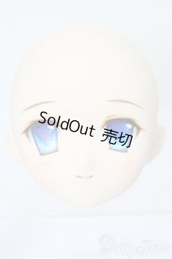 画像1: PARABOX/PB-6006Bヘッドのみ S-25-11-30-427-TO-ZS