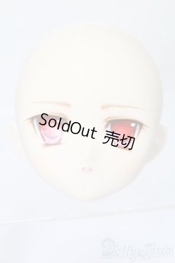 画像1: PARABOX/PB-6006Bヘッドのみ S-25-11-30-442-TO-ZS