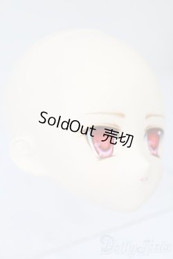 画像3: PARABOX/PB-6006Bヘッドのみ S-25-11-30-442-TO-ZS