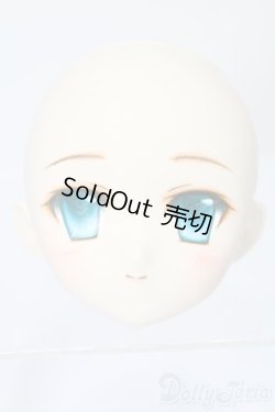 画像1: PARABOX/PB-6006Bヘッドのみ S-25-11-30-439-TO-ZS