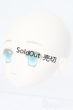 画像2: PARABOX/PB-6006Bヘッドのみ S-25-11-30-439-TO-ZS