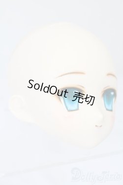 画像3: PARABOX/PB-6006Bヘッドのみ S-25-11-30-439-TO-ZS