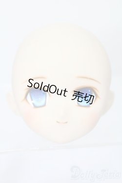 画像1: PARABOX/PB-6006Bヘッドのみ S-25-11-30-445-TO-ZS