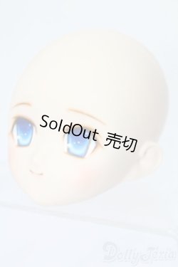 画像2: PARABOX/PB-6006Bヘッドのみ S-25-11-30-445-TO-ZS