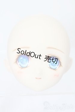 画像1: PARABOX/PB-6006Bヘッドのみ S-25-11-30-435-TO-ZS