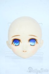 PARABOX/PB-6006Bヘッドのみ Y-25-10-29-129-TO-ZY