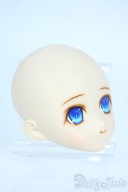 画像2: PARABOX/PB-6006Bヘッドのみ Y-25-10-29-129-TO-ZY