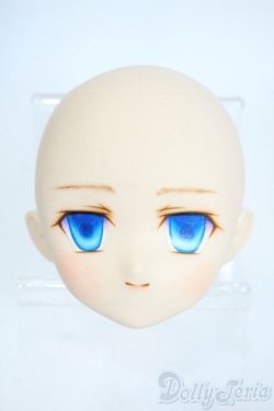 画像1: PARABOX/PB-6006Bヘッドのみ Y-25-11-26-012-TO-ZY