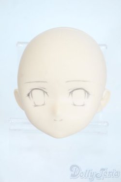 画像1: PARABOX/PB-6006Bヘッドのみ Y-25-11-26-010-TO-ZY