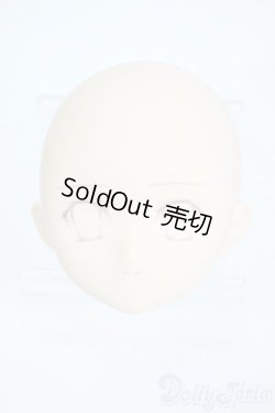 画像1: PARABOX/PB-6006Bヘッドのみ Y-25-11-26-010-TO-ZY