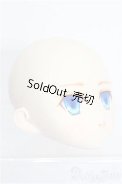 画像2: PARABOX/PB-6006Bヘッドのみ S-25-12-28-209-TO-ZS