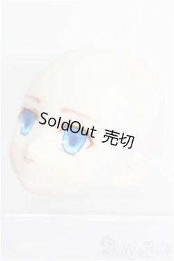 画像3: PARABOX/PB-6006Bヘッドのみ S-25-12-28-209-TO-ZS