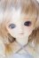 画像1: 幼天使/八代 S-25-09-21-154-TO-ZS (1)