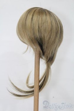 画像2: 9-10inch/ウィッグ S-25-09-21-198-TO-ZS
