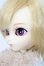画像3: イスル/Gosomi(ゴソミ) S-25-09-21-090-TO-ZS