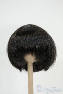 画像1: 8-9inch/ウィッグ Y-25-12-03-048-TO-ZY