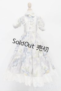 SD/OF:ワンピース S-25-09-21-177-TO-ZS