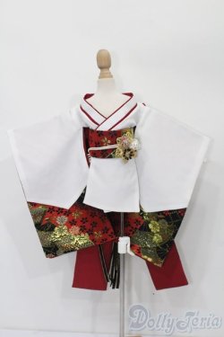 画像1: SDM＆MSD/OF:衣装セット S-25-09-21-240-TO-ZS