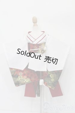 画像1: SDM＆MSD/OF:衣装セット S-25-09-21-240-TO-ZS