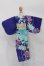 画像1: MDD/OF:衣装セット S-25-09-21-237-TO-ZS (1)