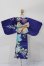画像3: MDD/OF:衣装セット S-25-09-21-237-TO-ZS