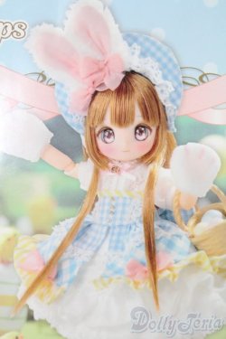 画像1: 赤いカメラ × SugarCups/ビスケティーナ〜Happy Easter Bunny〜 S-25-09-21-254-TO-ZS