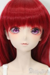 DD/ドリームチョイス DC-H-31 S-25-09-28-052-TO-ZS
