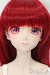 DD/ドリームチョイス DC-H-31 S-25-11-23-686-TO-ZS