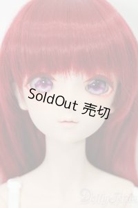 DD/ドリームチョイス DC-H-31 S-25-11-23-686-TO-ZS