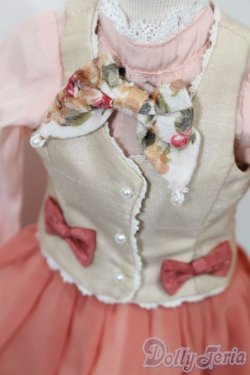 画像4: MSD/OF クラシカルキャラメリゼドレス(VOLKS製) S-25-11-09-560-TO-ZS