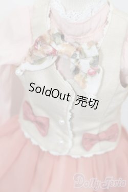 画像4: MSD/OF クラシカルキャラメリゼドレス(VOLKS製) S-25-11-09-560-TO-ZS