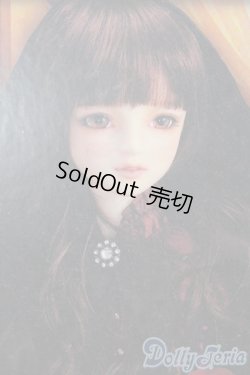 画像1: SDGr/ベル Belle 夢夜へのいざない 美女と野獣 S-26-02-01-351-TO-ZS