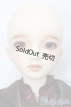 画像3: SDGr/ベル Belle 夢夜へのいざない 美女と野獣 S-26-02-01-351-TO-ZS