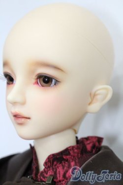 画像4: SDGr/ベル Belle 夢夜へのいざない 美女と野獣 S-25-09-28-151-TO-ZS