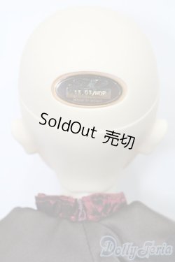 画像6: SDGr/ベル Belle 夢夜へのいざない 美女と野獣 S-26-02-01-351-TO-ZS