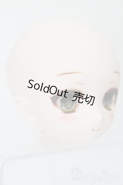 画像3: DD/DDH-01:カスタムヘッド S-25-09-28-161-TO-ZS