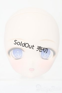 画像2: DD/DDH-27カスタムヘッド(暗黒騎士団様製) S-25-09-28-163-TO-ZS